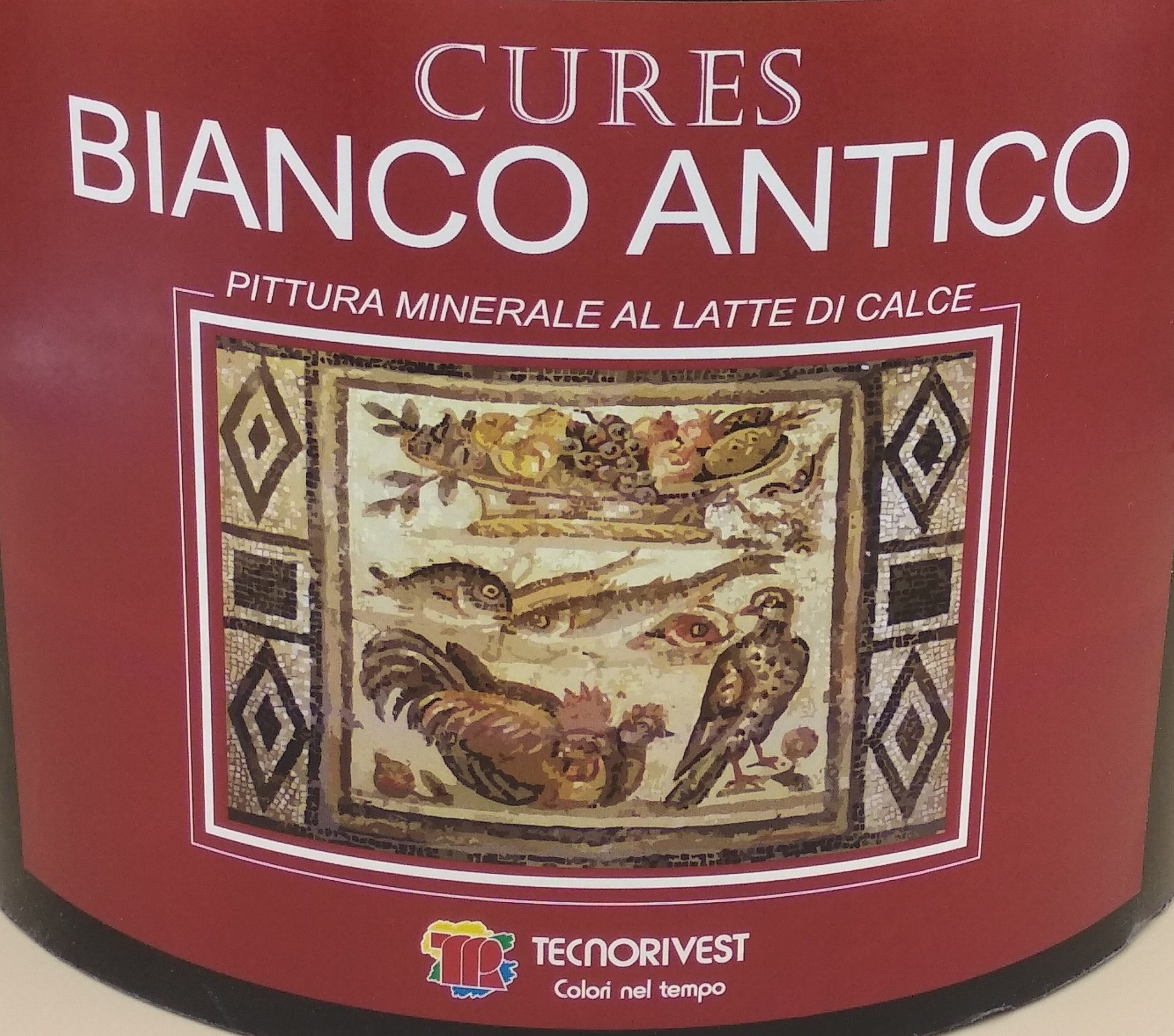 Pittura minerale al latte di calce Bianco Antico "Tecnorivest" - immagine 3